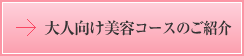 大人向け美容コースのご紹介