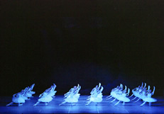 2010年4月4日(日)第30回発表会「ラ・バヤデール」全幕「美女と野獣」