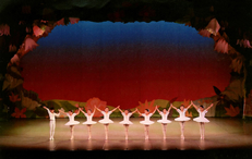 2013年5月12日(日)　第33回　発表会　「眠れる森の美女」全幕「アラジン」「フラワーカーニバル」「バレエコンサート」
