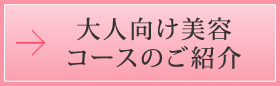 大人向け美容コースのご紹介